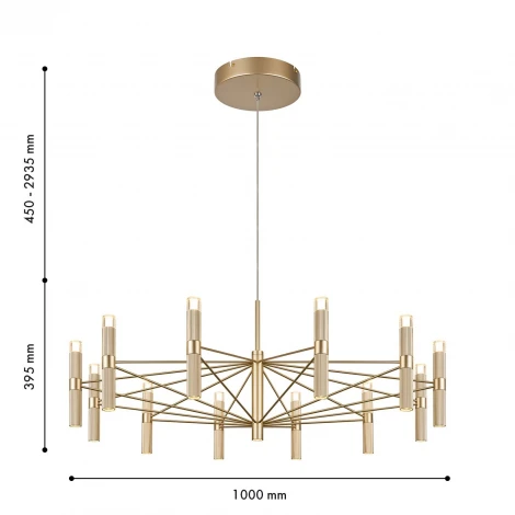 Подвесная люстра Favourite Blick 4759-12P
