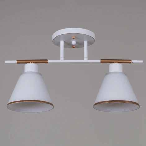 Потолочная люстра на штанге Reluce 07594-0.3-02 WG (220V)