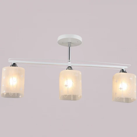 Потолочная люстра на штанге Reluce 01698-0.3-03 (220V)