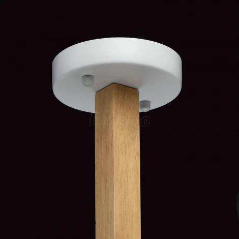 Потолочная люстра MW-Light Форест 693011106