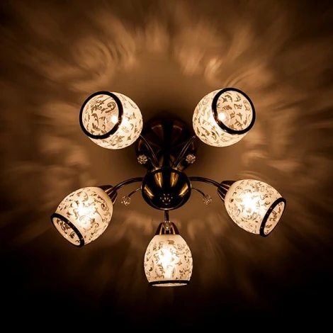 Потолочная люстра Eurosvet 30026 30026/5 античная бронза (220V, лепестки)