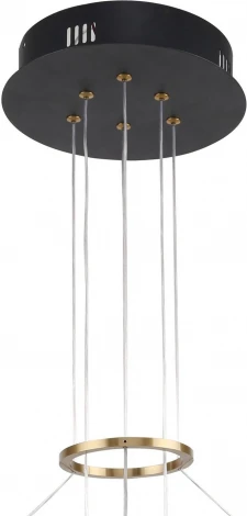 Подвесной светильник Daur 3097-7P F-Promo (LED, 220V, на тросе, кольцо)