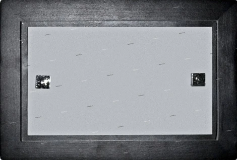 Настенно-потолочный светильник Дубравия Полина 197-43-21