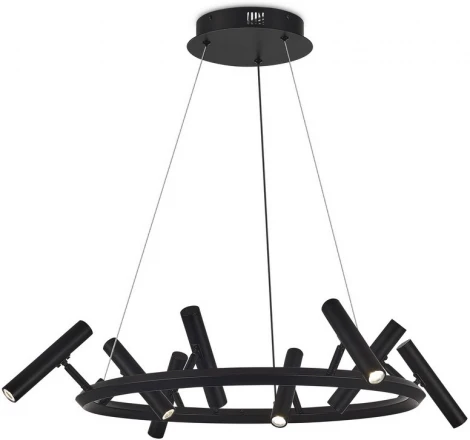 Подвесной светильник со спотами Aployt Honor APL.067.03.40 (LED, 220V, на проводе)