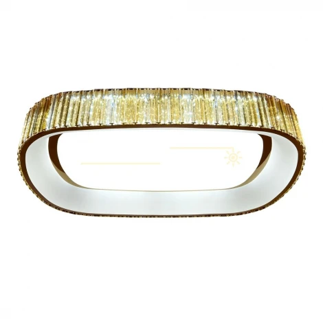 Потолочный светильник RiForma Neon 1-4792-FG Y LED