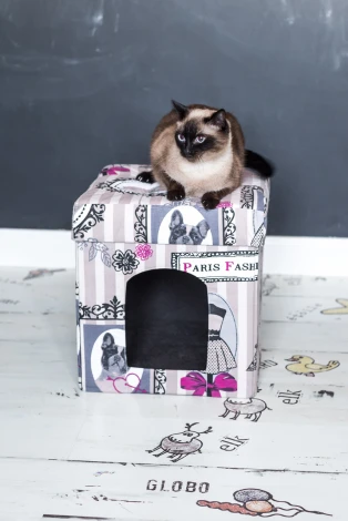 Пуфик Dreambag складной Для Животных Candy 1705200