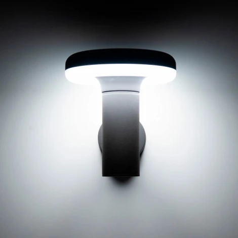 Настенный фонарь уличный Citilux CLU01W (LED, 220V, IP54)