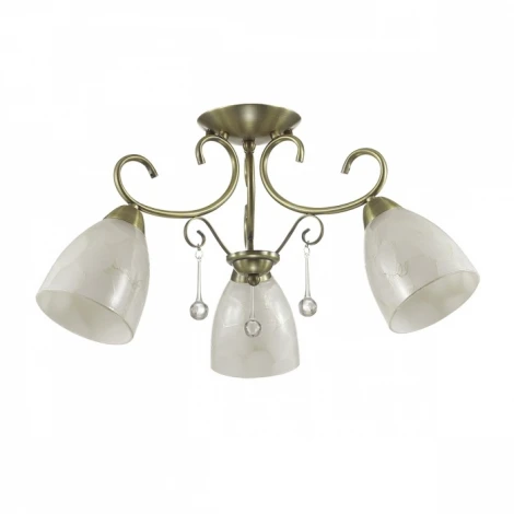 Потолочная люстра Lumion Eleconca 3511/3C