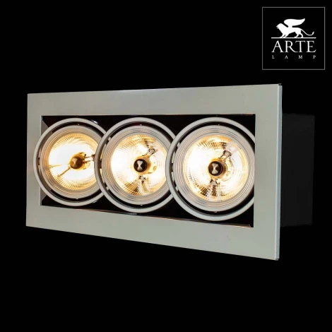 Встраиваемый точечный светильник Arte Lamp Cardani Medio A5930PL-3WH (220V)
