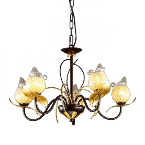 Подвесная люстра Odeon Light Anaba 2691/5
