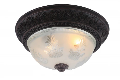 Потолочный светильник Arte Lamp Piatti A8006PL-2CK