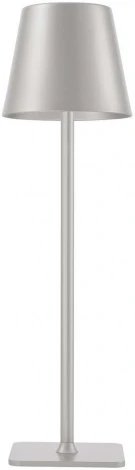 Настольная лампа с аккумулятором F-Promo Pyari 4617-1T (LED, 220V)