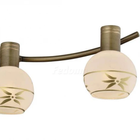 Спот Toplight Sharleen TL3790Y-04AB