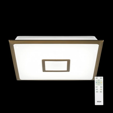 Потолочный светильник Citilux Старлайт R CL70353R