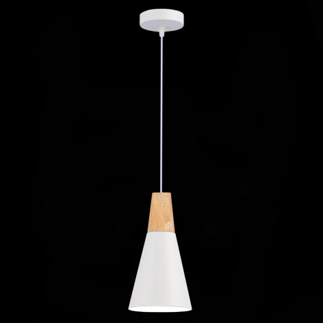 Подвесной светильник Evoluce Modica SLE125153-01