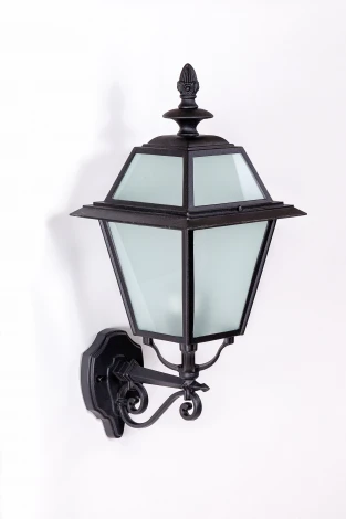 Уличный настенный фонарь Oasis Light FARO-FROST L 91101fL Bl (220V, фонарь, IP44)
