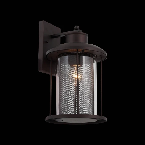 Настенный фонарь уличный ST Luce Lastero SL080.401.01 (220V, IP54)