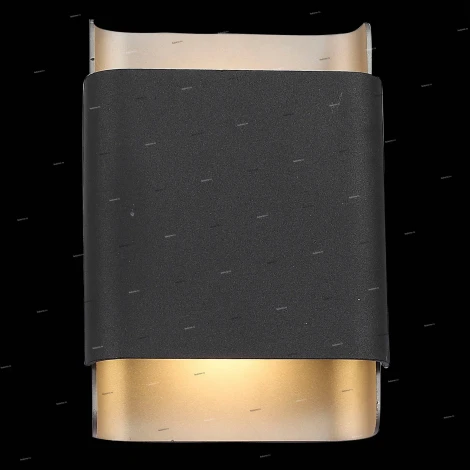 Настенный светильник уличный ST Luce Cambra SL564.401.02