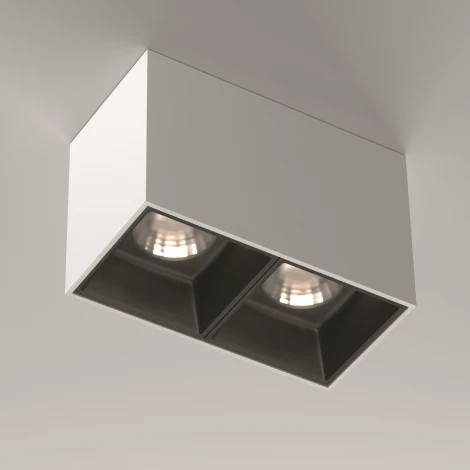 Потолочный светильник Maytoni Alfa LED C065CL-02-L12W4K-W 4000K 2x12W