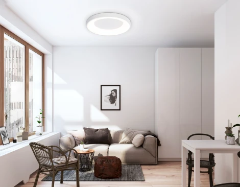 Потолочный светильник круглый светодиодный с пультом и регулировкой цветовой температуры Ambrella ORBITAL FZ1401 (220V, круглые)