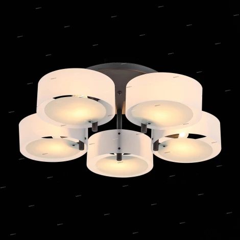 Потолочная люстра ST Luce Foresta SL483.402.05