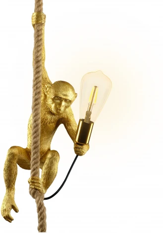 Подвесной светильник Ritter Monkey 52650 6