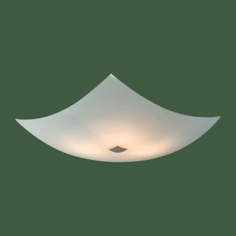 Потолочный светильник Citilux 931 CL931011