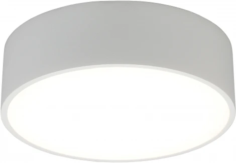 Потолочный светильник круглый Aployt Evon APL.0114.09.12 (LED, 220V, круглые)