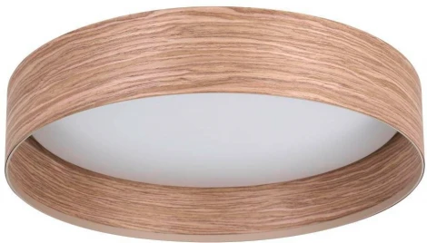 Потолочный светильник светодиодный Eglo LUPPINERIA 900463