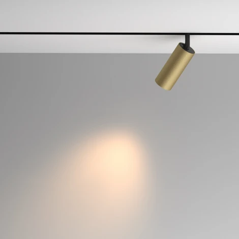 Трековый светильник магнитный 48V Maytoni Artisan TR097-2-12W3K-M-BMG (LED, круглые)