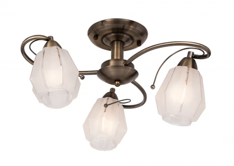 Потолочная люстра Silver Light Brazil 506.53.3