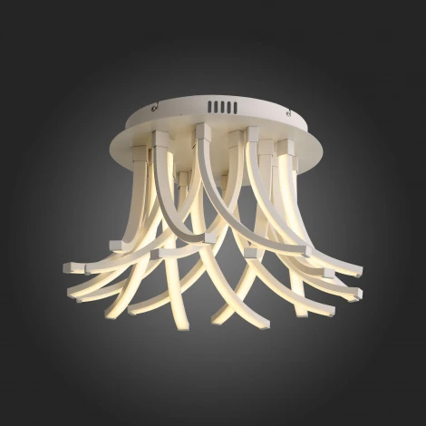 Потолочная люстра ST Luce Filiali SL827.502.20