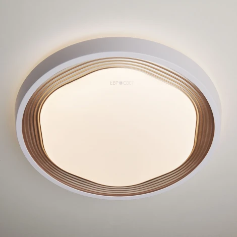 Потолочная люстра Eurosvet Range 40005/1 LED кофе