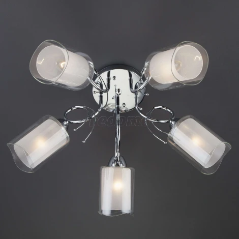 Потолочная люстра Eurosvet Renee 30122/5 хром