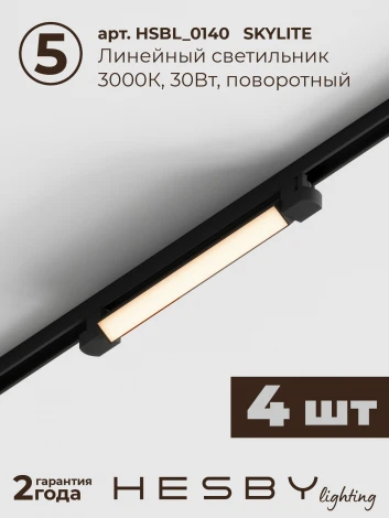 Трековая система в сборе встраиваемая однофазная 220V Hesby Lighting Skylite №1 HSBL_kompl_S001_VI4B3K