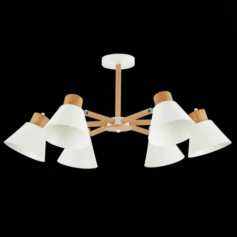 Потолочная люстра Evoluce Buve SLE103702-06