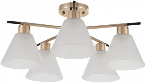 Потолочная люстра на штанге Arte Milano Napoli 322119/5 FG+BK (220V)