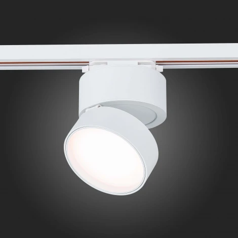 Трековый светильник ST Luce St651 ST651.536.14 (LED, 220V, круглые)