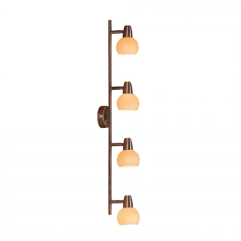 Спот Citilux Бонго CL516543