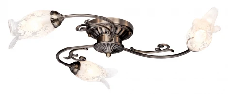 Потолочная люстра Silver Light Largo 709.53.3