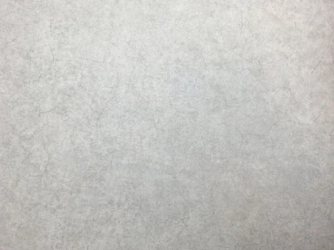 Обои виниловые Ugepa Escapade L69219 10,05 x 0,53 м