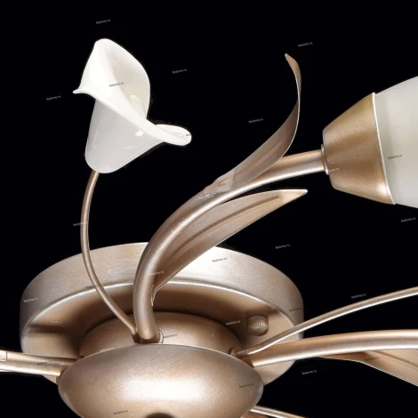 Потолочная люстра MW-Light Восторг 242016205