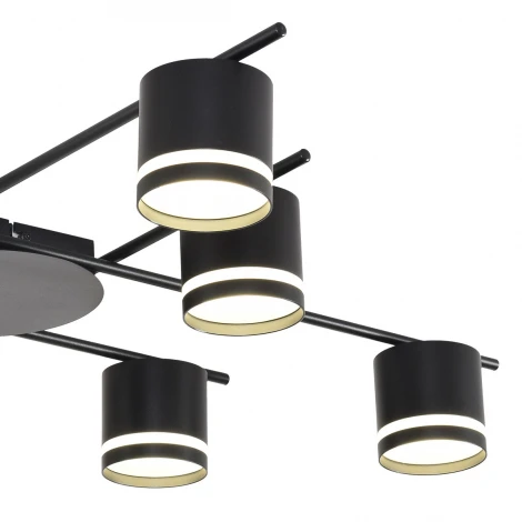 Потолочная люстра Lumion Berty 8362/8C черный, металл/акрил GX53 LED 8*7W 220V