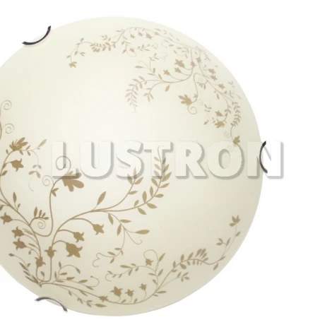 Настенно-потолочный светильник Arte Lamp Ornament A4920PL-2CC