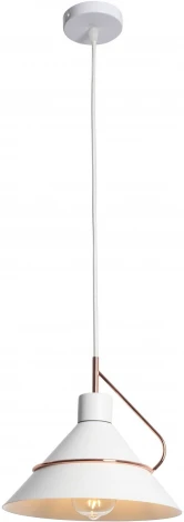 Подвесной светильник Freya Amis FR5025PL-01W