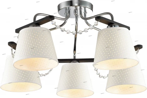 Потолочная люстра Odeon Light Salanso 2931/5C