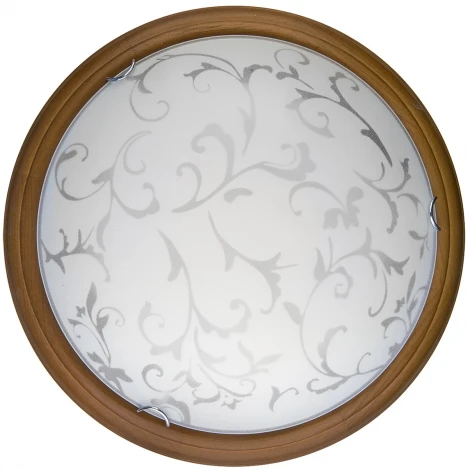 Настенно-потолочный светильник Toplight Daniela TL9530Y-00OA