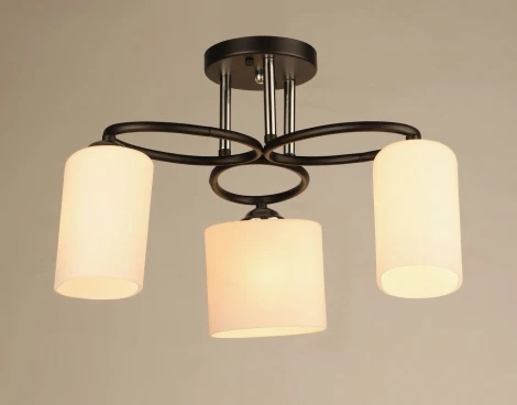 Потолочная люстра на штанге Мелодия Света SS1N 000029919