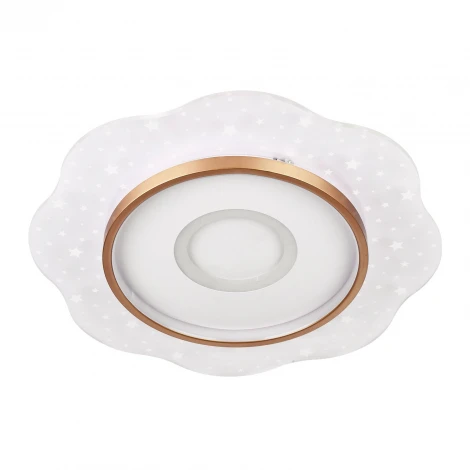 Потолочный светильник светодиодный с пультом с регулировкой цветовой температуры и яркости LED4U LED4U L1028-500 WH-GD