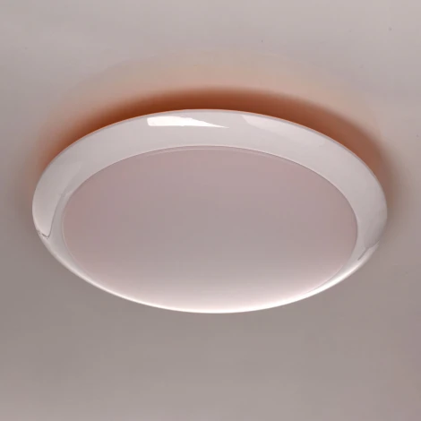 Потолочный светильник MW-Light Ривз 674014101